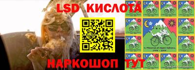 прущие грибы Чебаркуль
