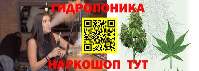 ешки Чебоксары
