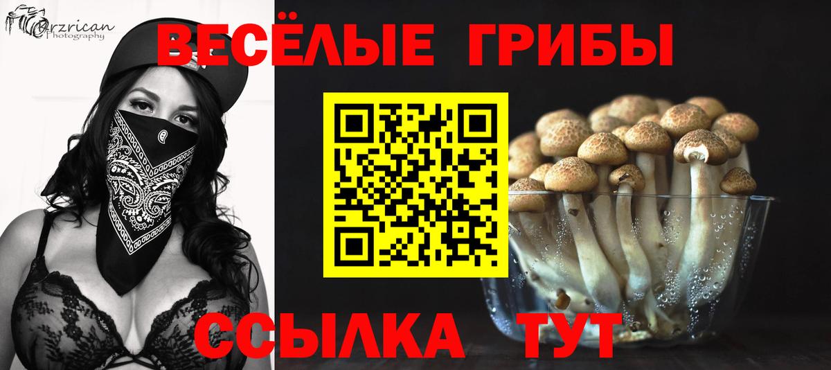 Галлюциногенные грибы GOLDEN TEACHER Ачхой-Мартан